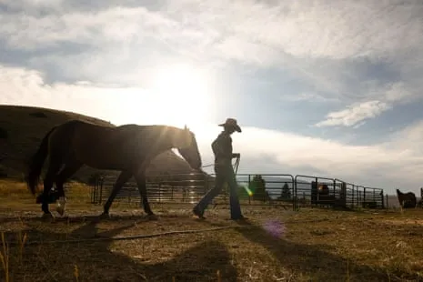 Meet the American Female Ranchers Transforming Modern Farm Life